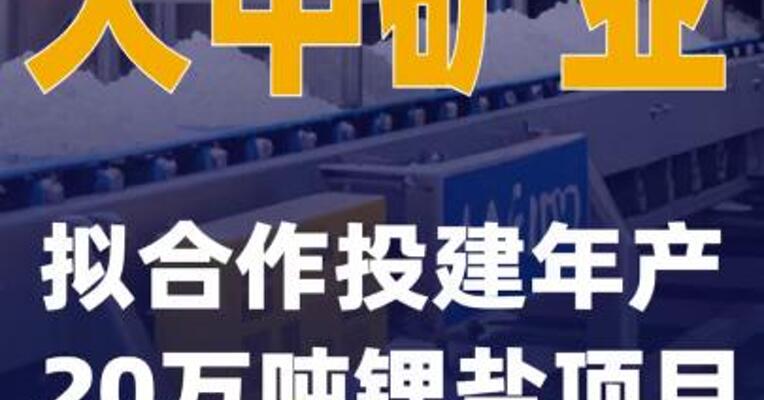 大中矿业：拟合作投建年产20万吨锂盐项目