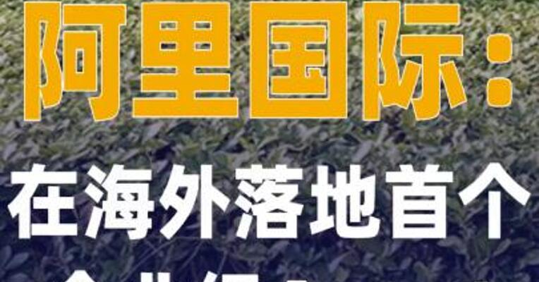 阿里国际：在海外落地首个 企业级Agent