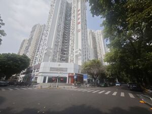 深圳顶级学区房房价率先触底？业内：优质学区房源、改善型户型成交占比显著提升