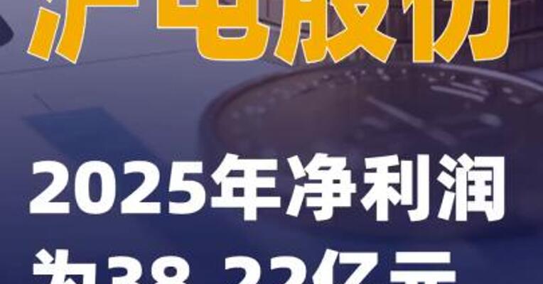 沪电股份：2025年净利润为38.22亿元
