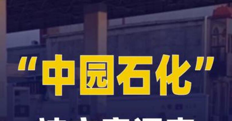 “中园石化”被立案调查