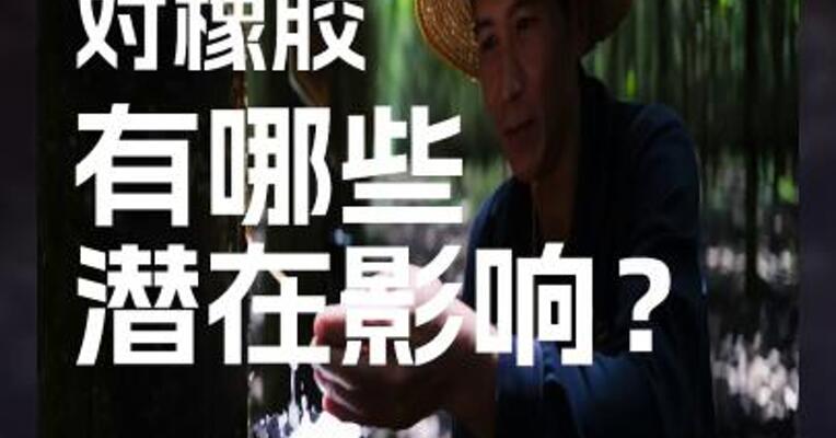 厄尔尼诺 对橡胶 有哪些 潜在影响？