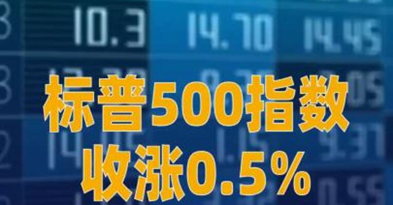 标普500指数收涨0.5%，存储概念股 下挫