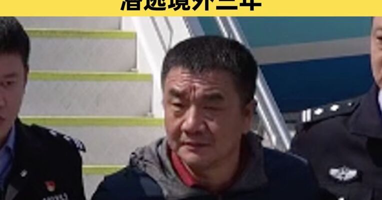 涉嫌骗取贷款超6.6亿元 一名犯罪嫌疑人被押解回国