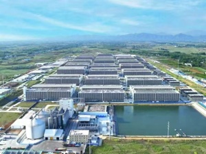 牧原股份2025年年报：屠宰肉食首次实现年度盈利 步入发展新阶段