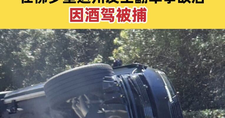 美国高尔夫球巨星“老虎”泰格·伍兹因酒驾被捕