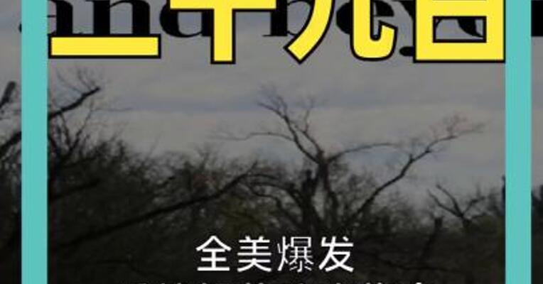 全美爆发反特朗普政府集会 50州超900万人将参与 或为“美史上最大抗议”