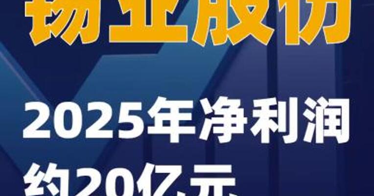 锡业股份：2025年净利润约20亿元