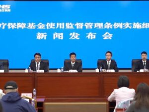 如何健全医保基金智能监管体系？国家医保局答每经：系统已建好，定点医药机构可免费接入