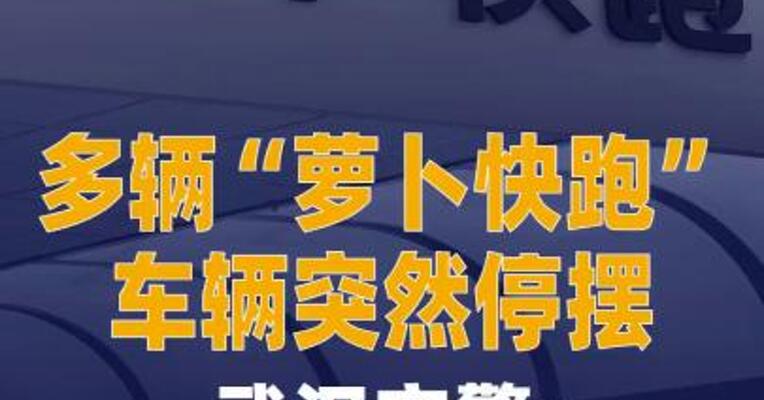 多辆“萝卜快跑”车辆 突然停摆，武汉交警：初判 系统故障，无人员受伤