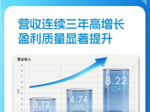 营收创历史新高，黑芝麻智能的“三条增长曲线”与端侧AI的万亿蓝海