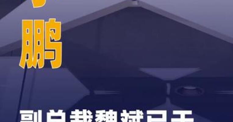 小鹏副总裁魏斌已于近期 离职