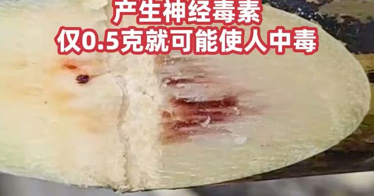 甘蔗变红一口别吃！ 清明前后小心这种“隔年蔗”  产生神经毒素，仅0.5克就可能使人中毒  #甘蔗食用禁忌