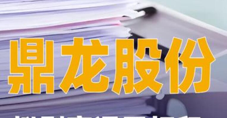 鼎龙股份：拟剥离通用打印耗材终端业务