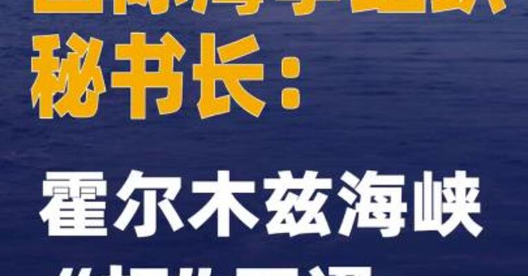 国际海事组织秘书长：霍尔木兹海峡“打”不通