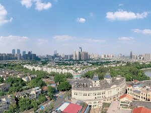 高效能治理｜“排长龙”变“指尖即办” 华阳街道用“人+机”双轨让社保服务跑出“加速度”