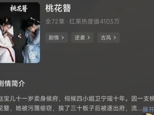 又一平台下架《桃花簪》，并开出停更罚单：暂停出品方上传所有剧集15天
