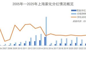 60%分红比例创新高  上海家化经营提质释放积极信号