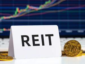 公募REITs年报整体表现稳健，又有多单产品获反馈，但二级市场价格却连跌六周