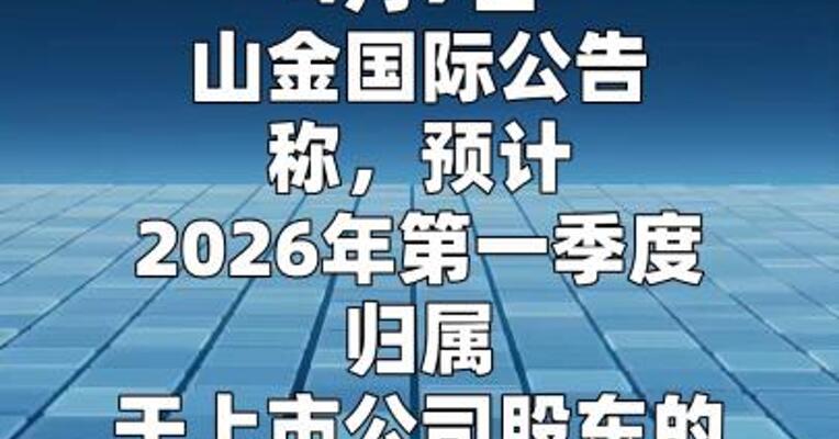 山金国际：一季度净利同比预增95%~108%