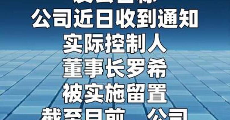 ST西发：实际控制人、董事长罗希被留置