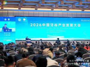 中国牙谷10年，有何可期？