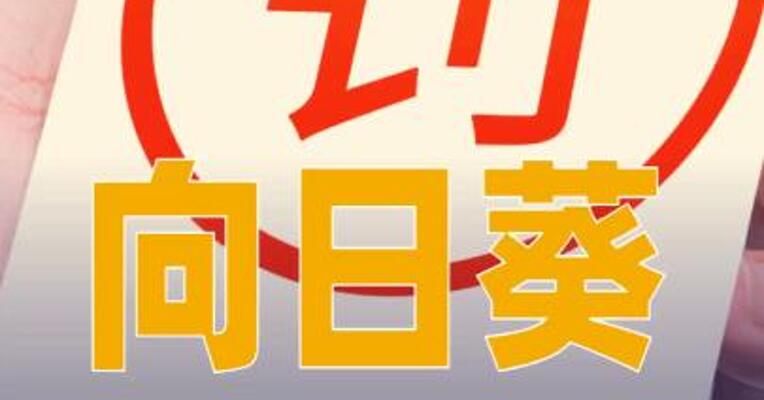 向日葵：公司因误导性陈述被罚300万元