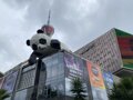 《成都市城市更新条例》正式发布 6月1日起施行
