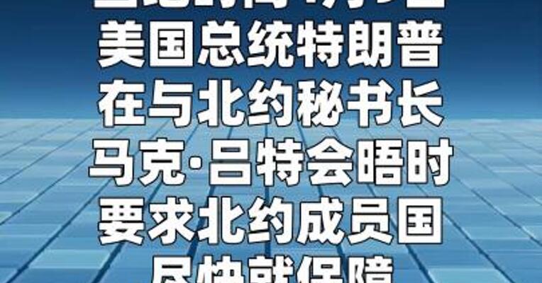 特朗普要求北约成员国就保障霍尔木兹海峡安全 作出承诺