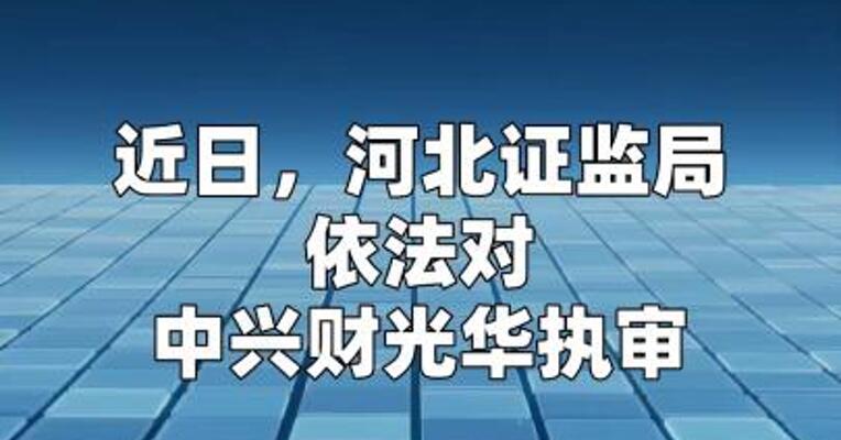 东旭系审计机构中兴财光华被罚没超2.4亿元
