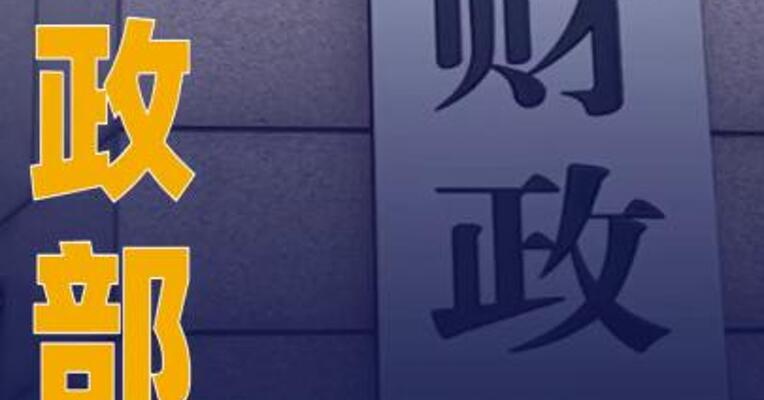 财政部对中兴财光华作出重罚