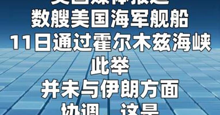 数艘美国海军舰船通过霍尔木兹海峡