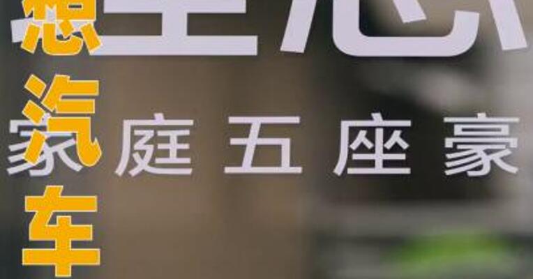 理想汽车指控网络水军组织化 拉踩 i6 和 L6 车型