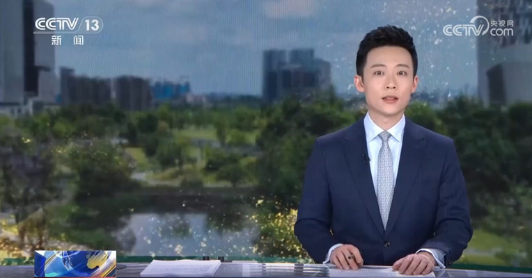 央媒看成都｜织就城市绿网 四季绿意常在