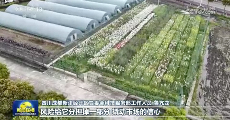 央媒看成都｜《新闻联播》关注成都：我的春耕合伙人