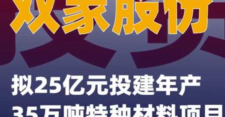 双象股份：拟25亿元投建年产35万吨特种材料项目