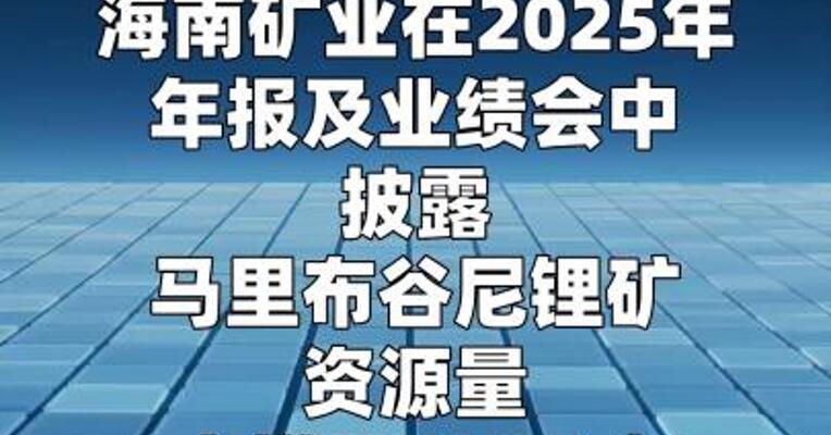 海南矿业锂矿增储遭合资方公开质疑，公司回应
