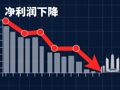 营收和净利润双降！依依股份2025年超九成收入依赖海外市场，理财成利润“救命稻草”