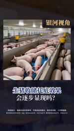 生猪收储托底效果 会逐步显现吗？