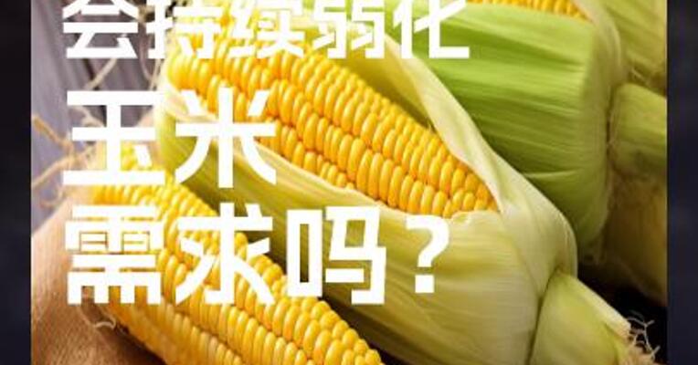 养殖亏损 会持续弱化 玉米 需求吗？