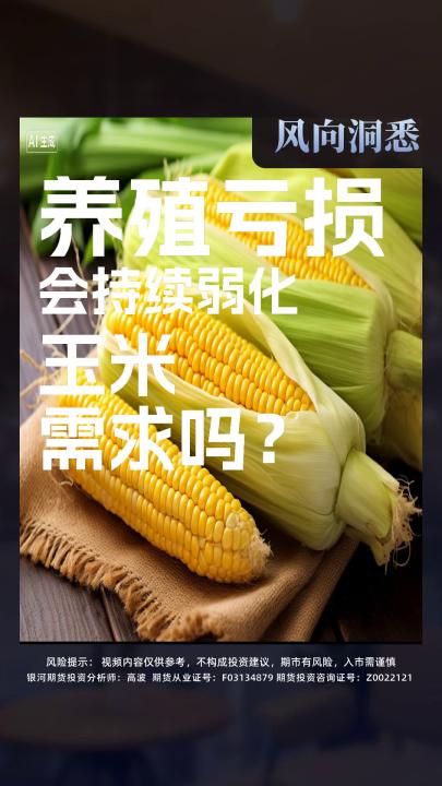 养殖亏损 会持续弱化 玉米 需求吗？