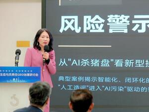 中央财经大学数字经济融合创新发展中心主任陈端：金融信息“AI污染”已成为扰动资本市场资源配置的新型风险源