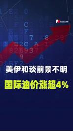 美伊和谈前景不明，国际油价涨超4%