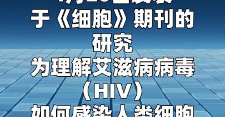 HIV与人体免疫细胞战斗的攻防图绘成