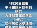 HIV与人体免疫细胞战斗的攻防图绘成