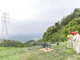 Open-uri20260421-26-16am6xr.thumb_hs