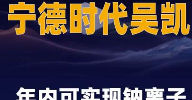 宁德时代吴凯： 年内可实现钠离子电池 大规模量产