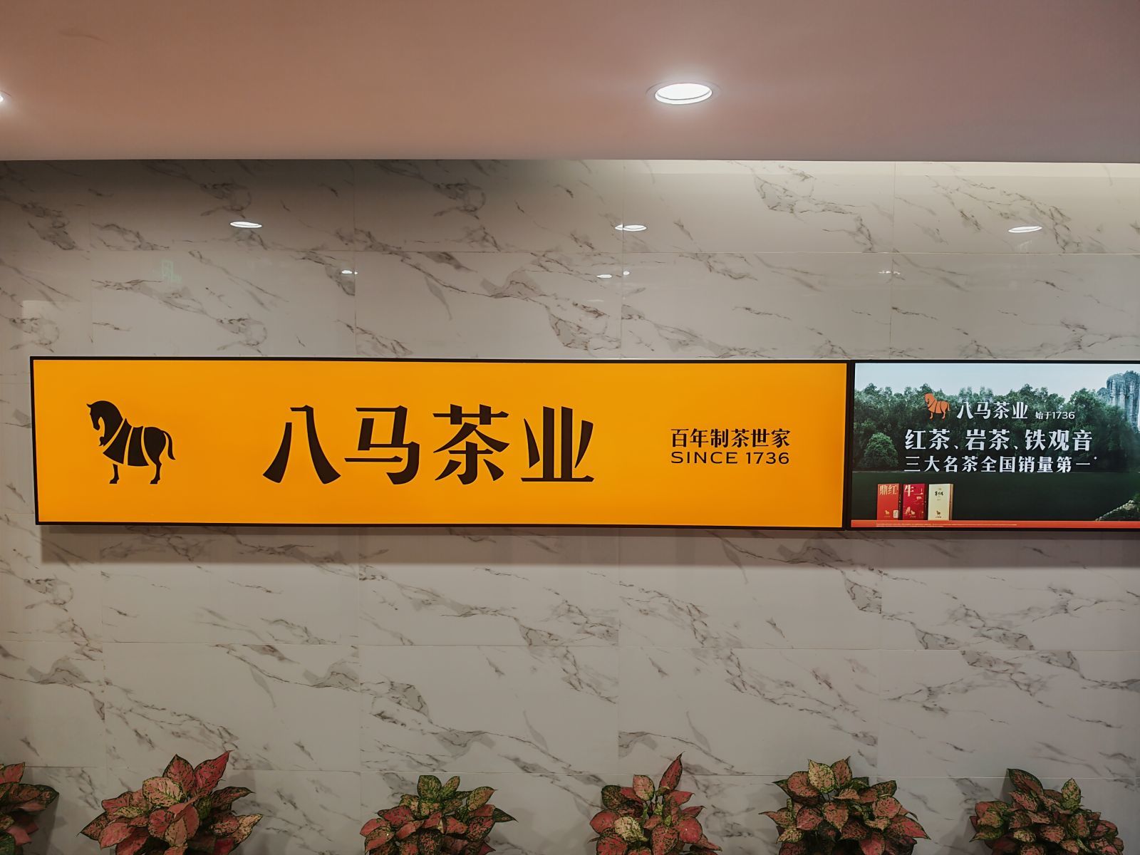 新闻