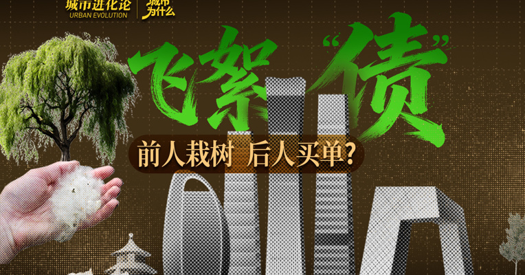 飞絮“债”：前人栽树，后人买单？