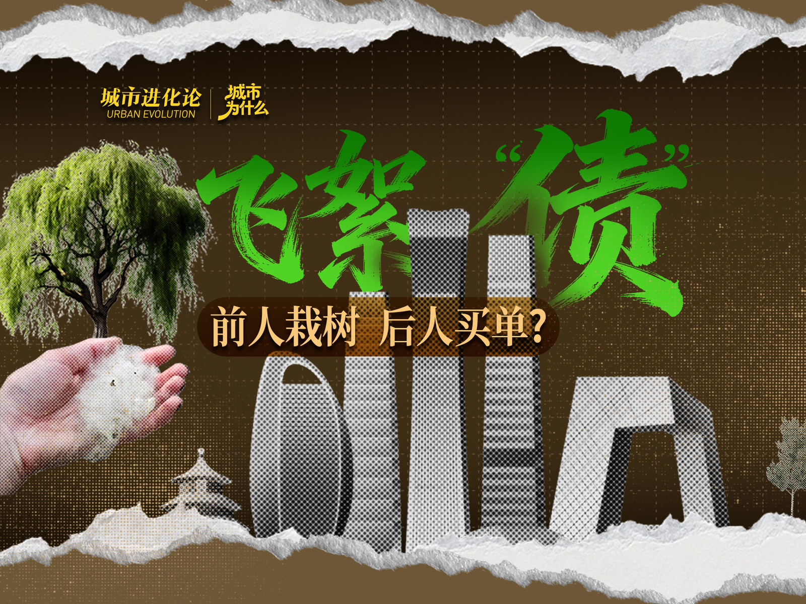 飞絮“债”：前人栽树，后人买单？